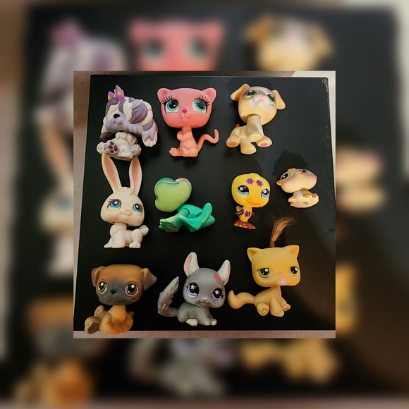 Littlest Pet Shop Authentic Bundle  (10) - Picture 10 of 11